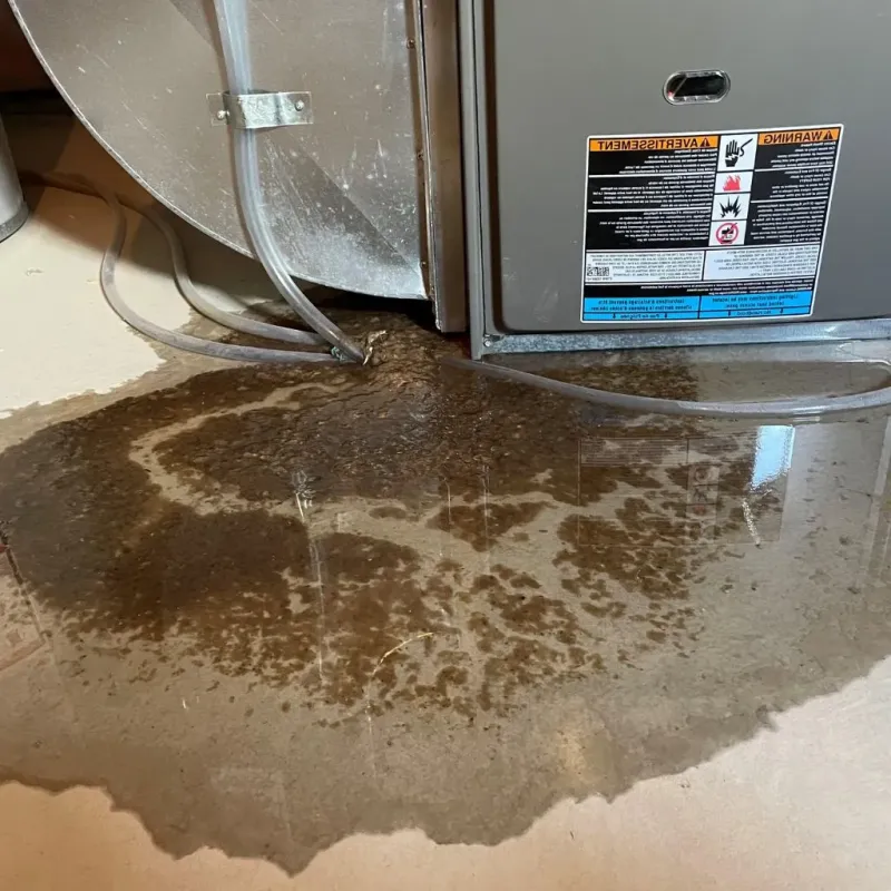 Pipe Burst and Leak Restoration in Otsego County, NY